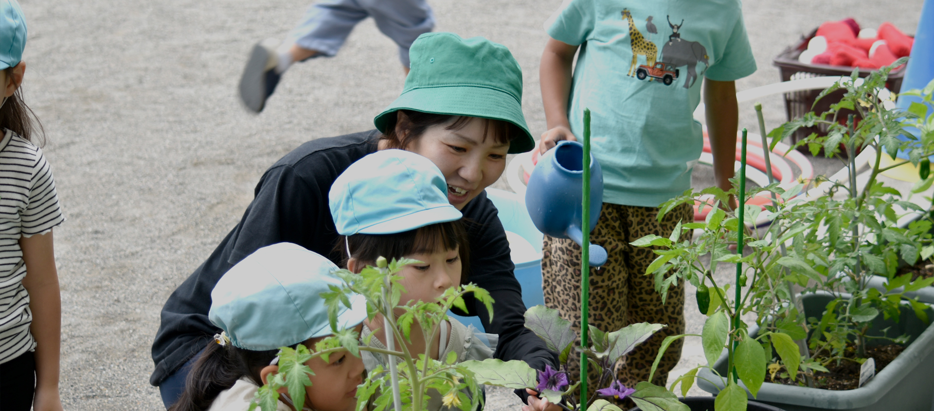 実習生・ボランティア受け入れについて
